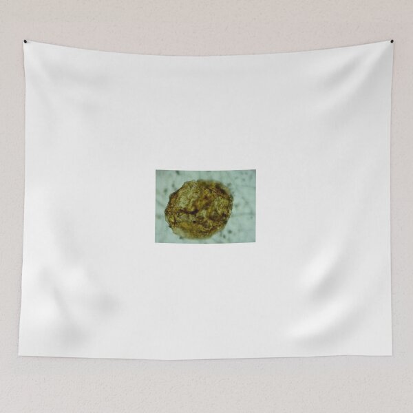 Item preview, Antrim Shale Algae Cyst designed and sold by Pr0teusUnbound.