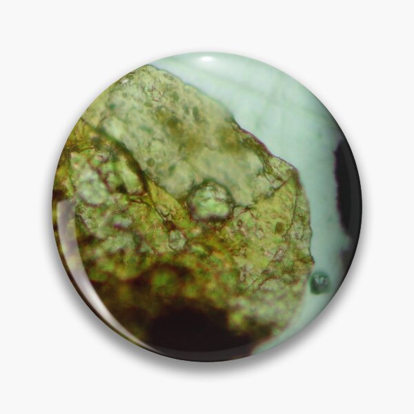 Item preview, Antrim Shale Algae Cyst designed and sold by Pr0teusUnbound.