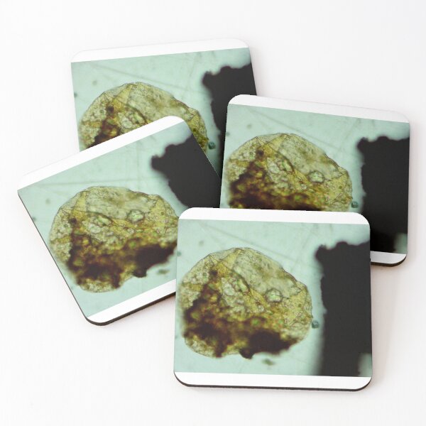Item preview, Antrim Shale Algae Cyst designed and sold by Pr0teusUnbound.
