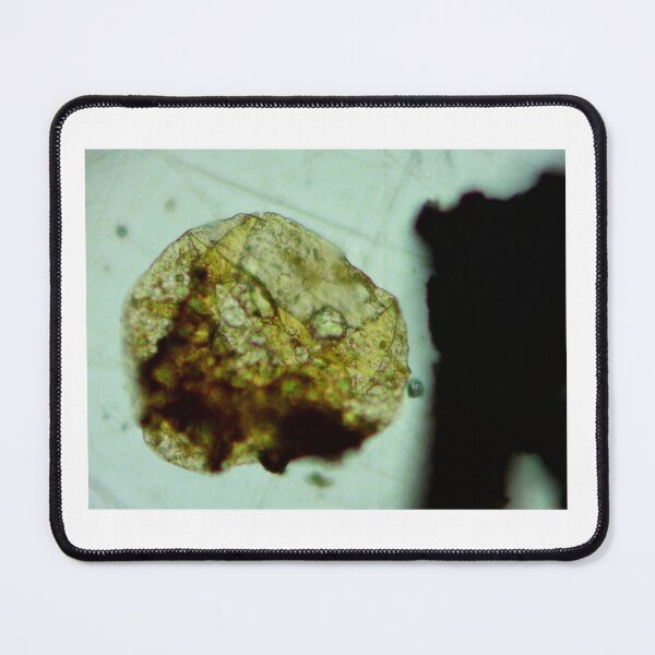 Item preview, Antrim Shale Algae Cyst designed and sold by Pr0teusUnbound.