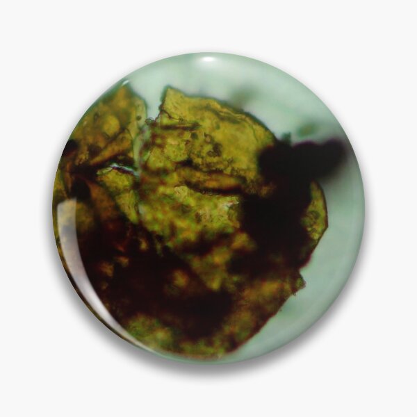 Item preview, Antrim Shale Algae Cyst designed and sold by Pr0teusUnbound.
