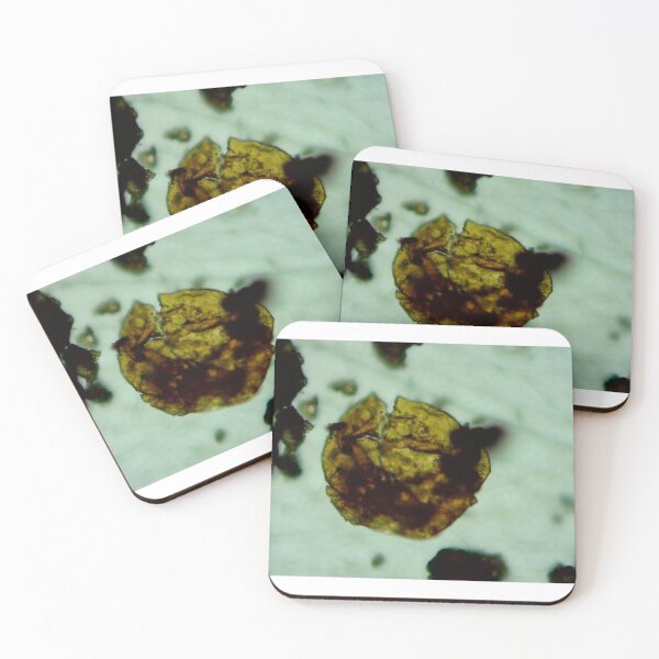 Item preview, Antrim Shale Algae Cyst designed and sold by Pr0teusUnbound.