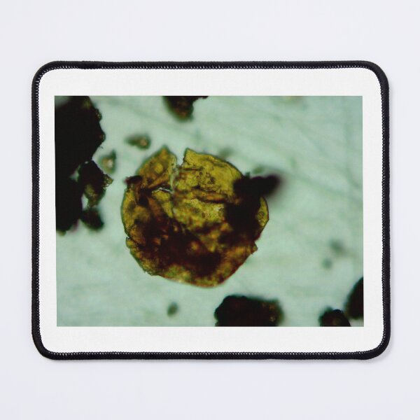 Item preview, Antrim Shale Algae Cyst designed and sold by Pr0teusUnbound.