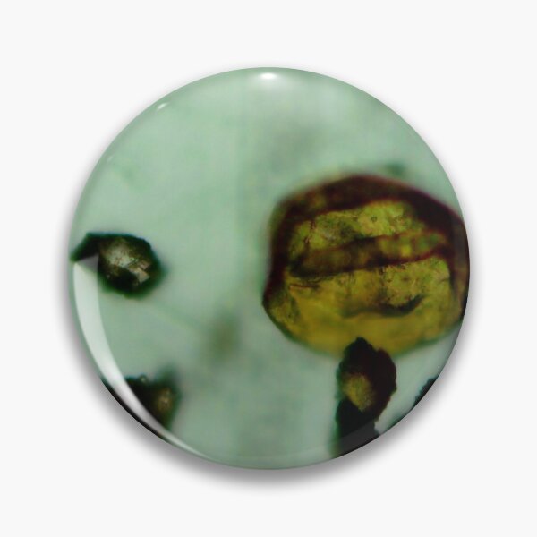 Item preview, Antrim Shale Algae Cyst designed and sold by Pr0teusUnbound.