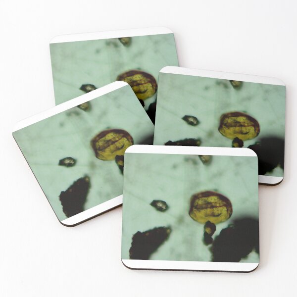 Item preview, Antrim Shale Algae Cyst designed and sold by Pr0teusUnbound.
