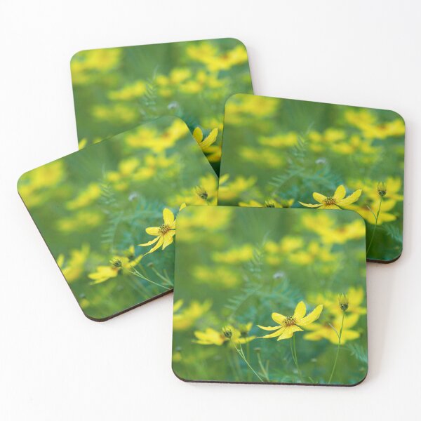 Item preview, The sensational Whorled tickseed designed and sold by Jouko Lehto Photography.