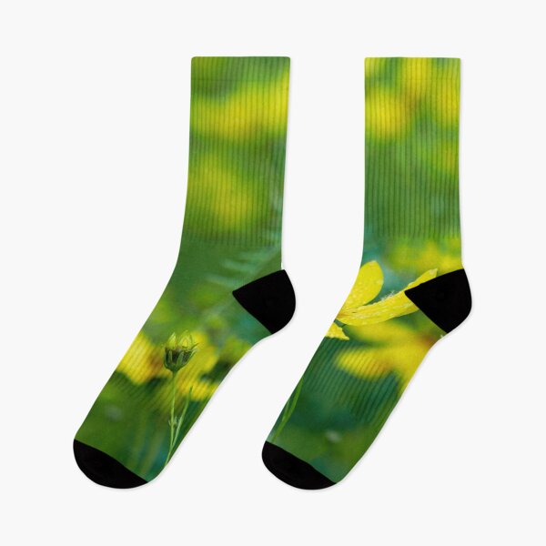 Item preview, The sensational Whorled tickseed designed and sold by Jouko Lehto Photography.