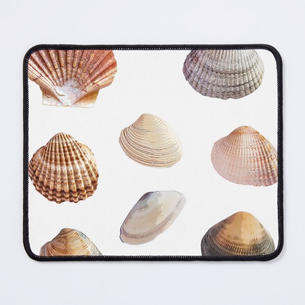 Item preview, Seashells Sticker Pack designed and sold by LazyCho.