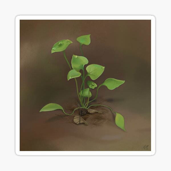 Item preview, Miner’s Lettuce designed and sold by asCanby.