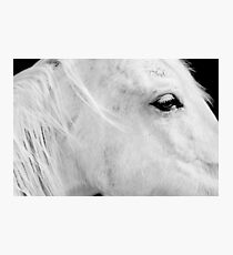 A Horse With No Name Photographic Print