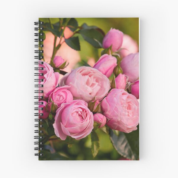 Item preview, Rose Hans Gunewein pink designed and sold by Jouko Lehto Photography.