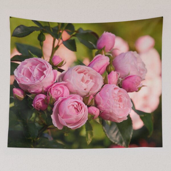 Item preview, Rose Hans Gunewein pink designed and sold by Jouko Lehto Photography.