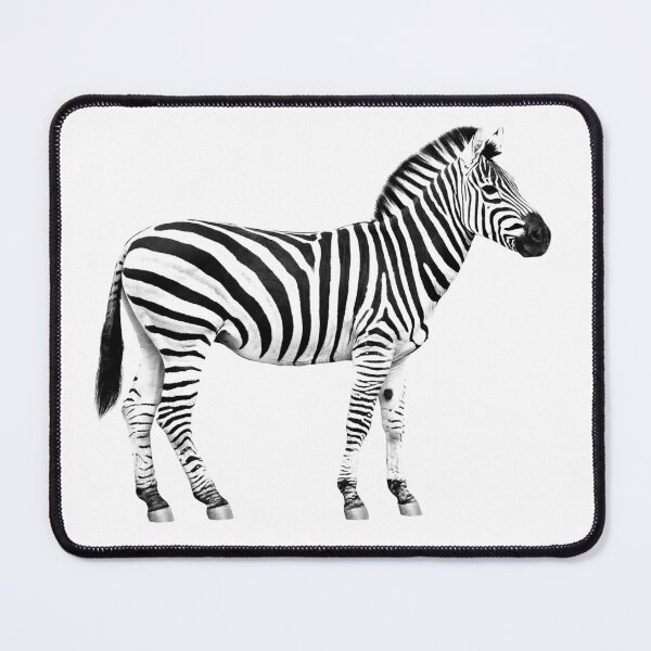 Item preview, Zebra designed and sold by Kurdish T-shirt.