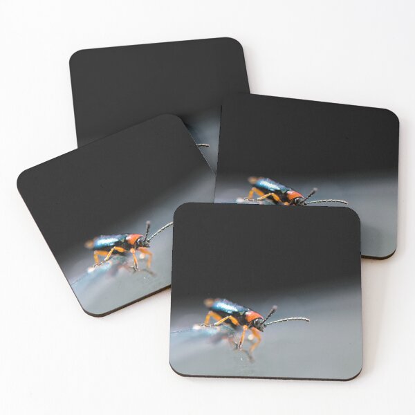 Item preview, Bug on the Edge designed and sold by Kafue.