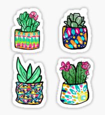 Colorful Cactus and Succulent Illustration Sticker