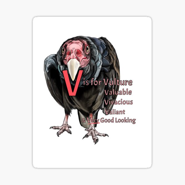 "V is for Vulture" Sticker for Sale by BarefootSeeker Redbubble