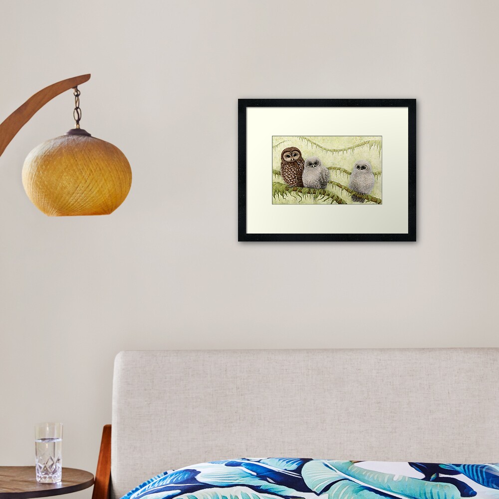 Northern Spotted Owls (Strix occidentalis caurina) Framed Art Print
