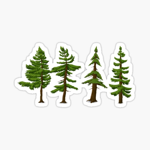 Four 4 Pine Trees Explore the Wilderness Enjoy Nature and the Outdoors Sticker