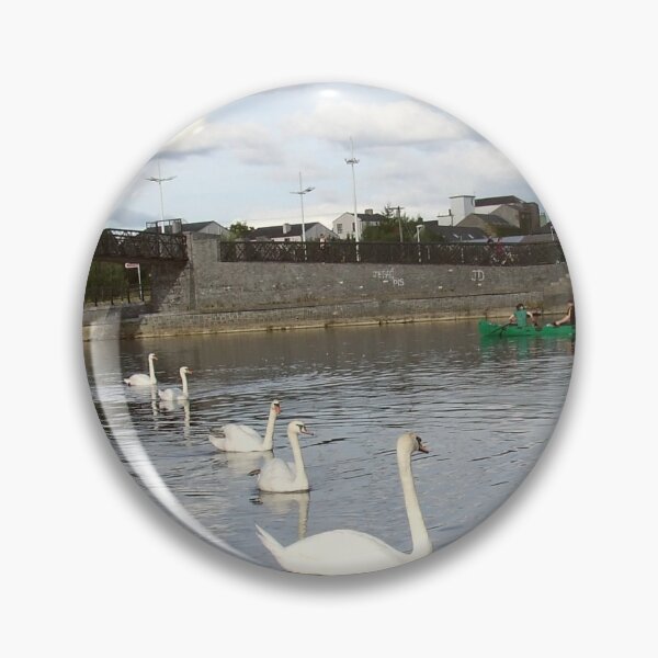 Item preview, Swans watch boat on Barrow River, Carlow, Ireland designed and sold by dublinprints.