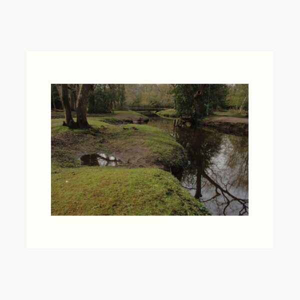 Item preview, Swing And Bridge designed and sold by jakeof.