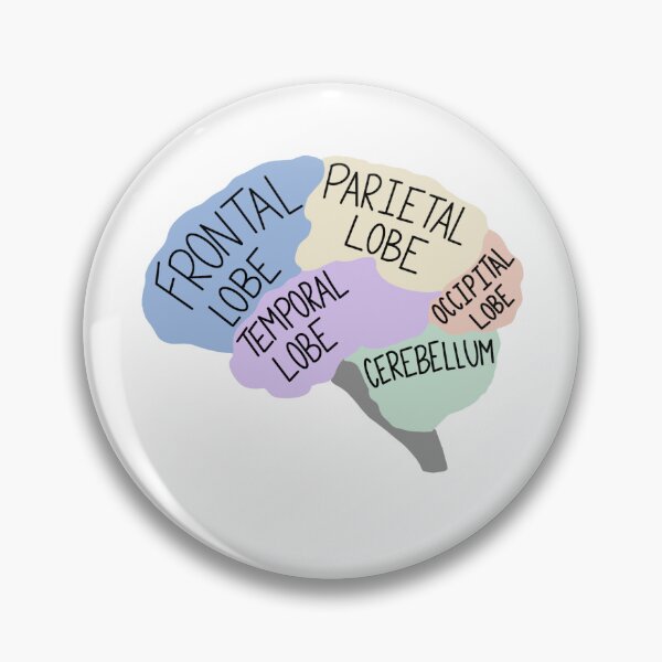 Item preview, Aesthetic Brain Diagram designed and sold by radiant-designs.