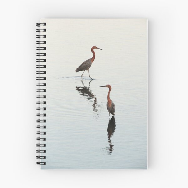 Item preview, Reddish Egrets designed and sold by Robert Ball.