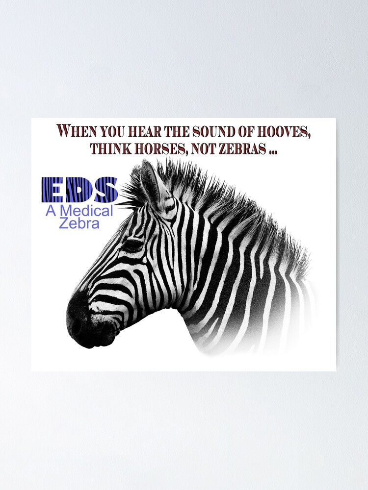 eds-a-rare-medical-zebra-poster-by-lilithdeanu-redbubble