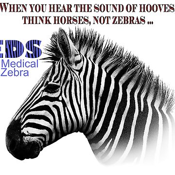 Medical Backpack *Updated May 2019* — The Tale of a Zebra (EDS