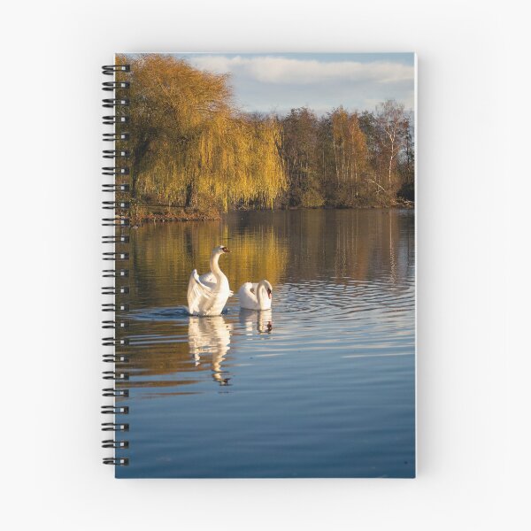 Item preview, The Wild Swans designed and sold by changemylife.