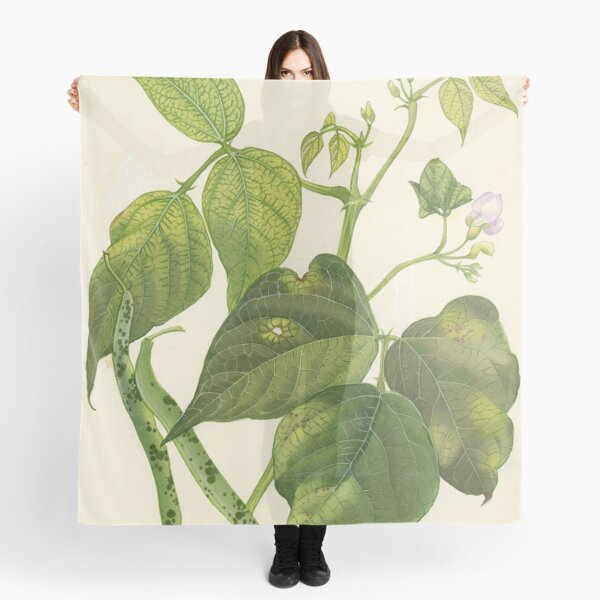 Item preview, Halo Blight of Bean  designed and sold by BiosecurityColl.