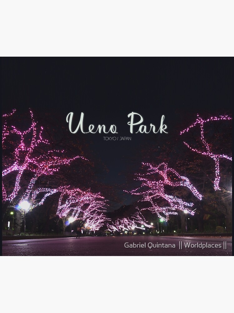 Night view in Ueno Park by gabrielquintana