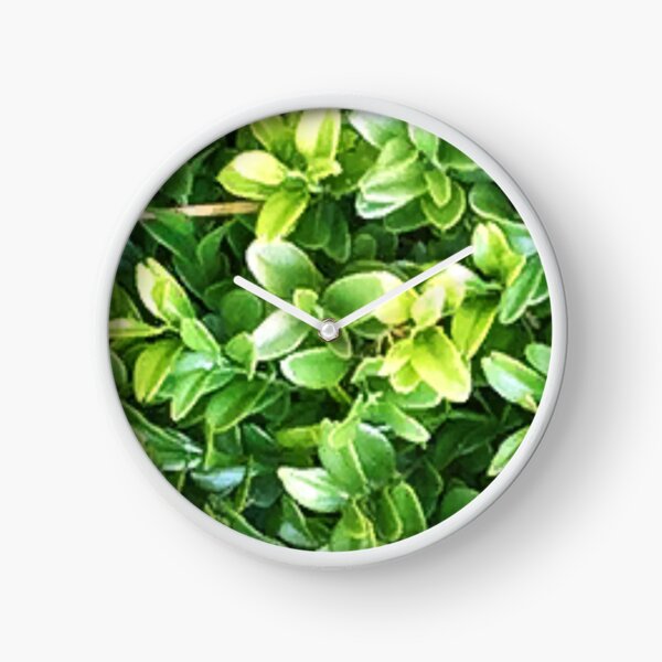 Vista previa del artículo con la obra «plantas plantas plantas plantas cactus naturaleza flores flores verdes jardín», diseñado y vendido por thechoice1.