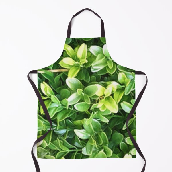 Vista previa del artículo con la obra «plantas plantas plantas plantas cactus naturaleza flores flores verdes jardín», diseñado y vendido por thechoice1.