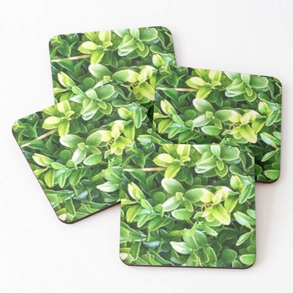 Item preview, plantas plantas plantas plants plant cactus nature flores green flowers garden  designed and sold by thechoice1.