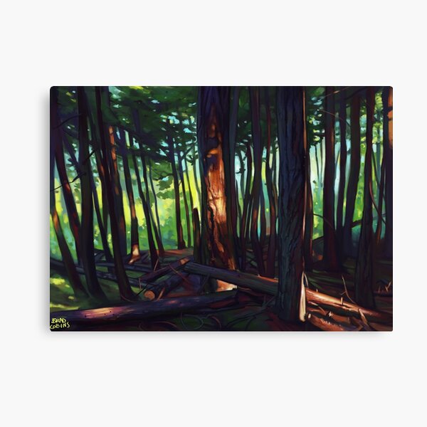 The Summer Lights of British Columbia Canvas Print