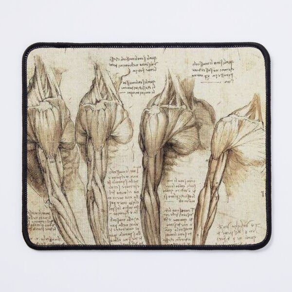 Item preview, Dark academia anatomy drawing designed and sold by summerwar37.