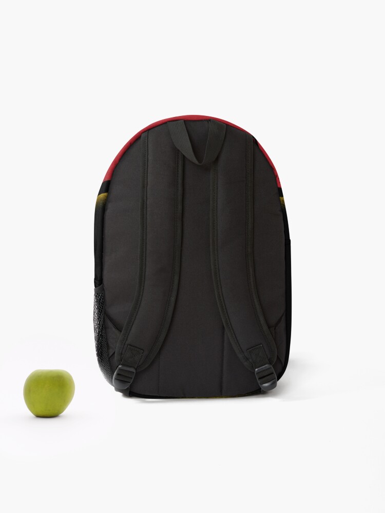 Disover Heroes Backpack