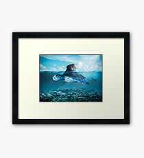 Tortoise Framed Print
