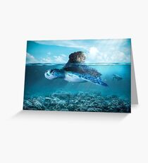 Tortoise Greeting Card