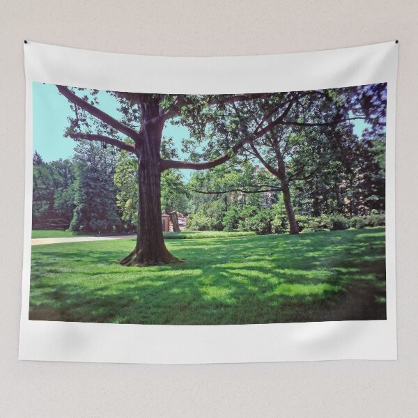 Item preview, Dumbarton Oaks, Washington DC, in the Grounds designed and sold by Priscilla Turner.