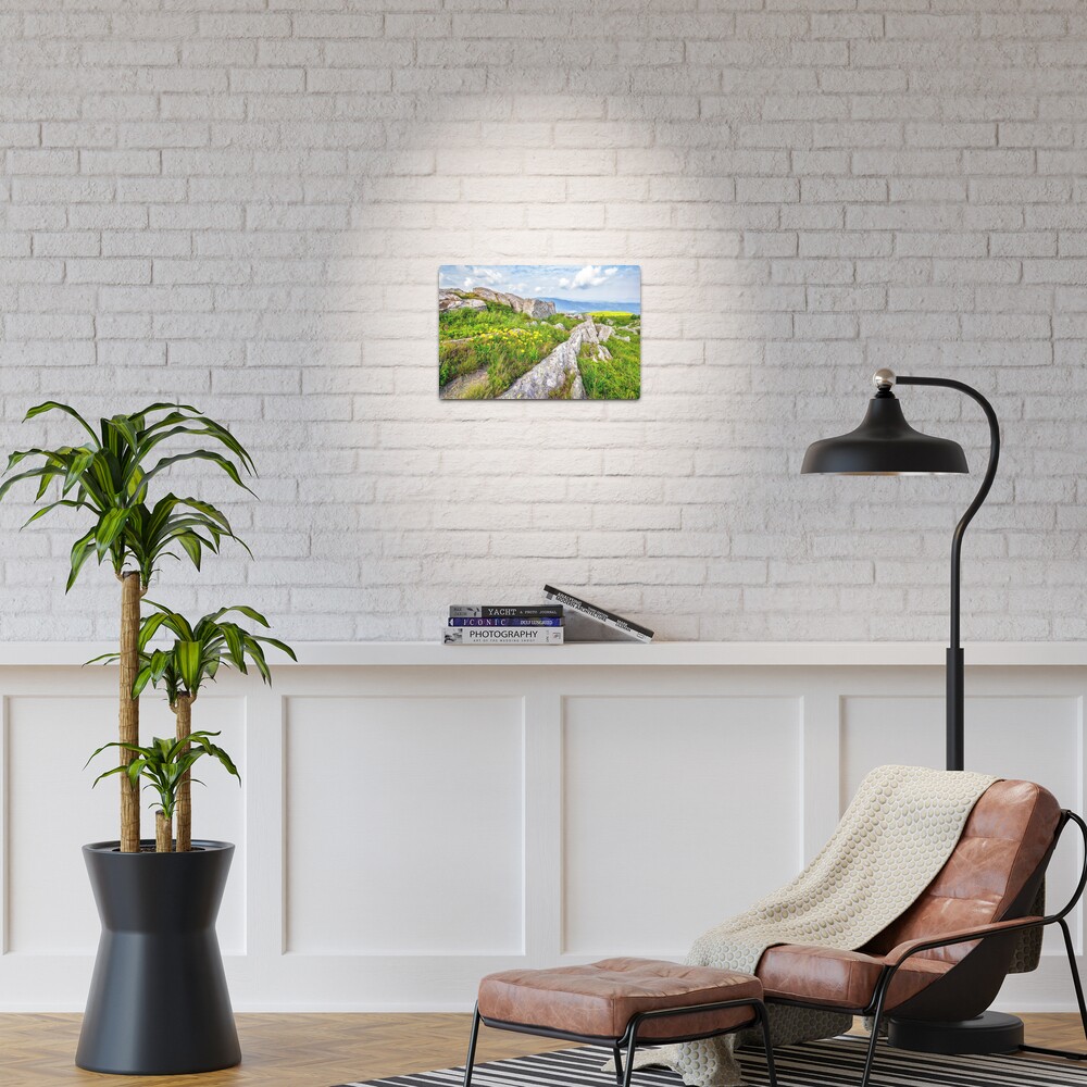 Item preview, Metal Print designed and sold by mike-pellinni.