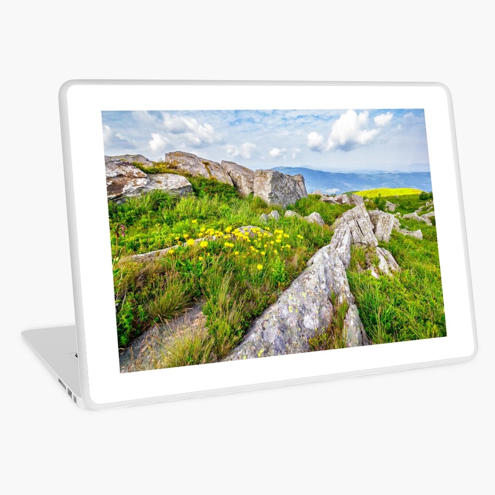 Item preview, Laptop Skin designed and sold by mike-pellinni.