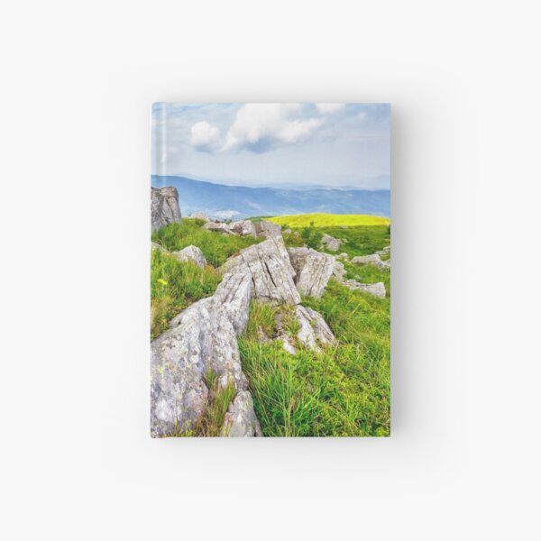 dandelions among the boulders on hill side Hardcover Journal