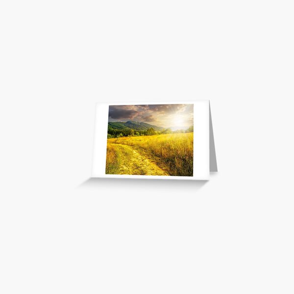 road through a rural meadow on the hillside at sunset Greeting Card