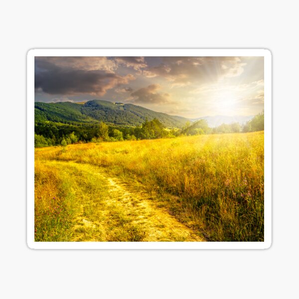 road through a rural meadow on the hillside  at sunset Sticker