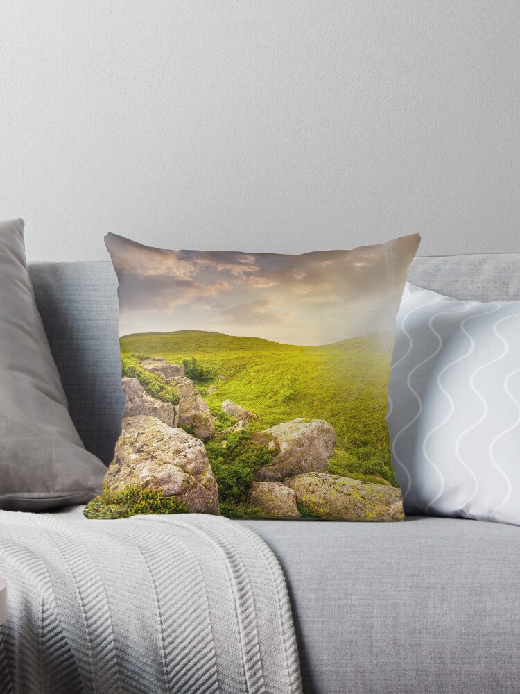 Item preview, Throw Pillow designed and sold by mike-pellinni.