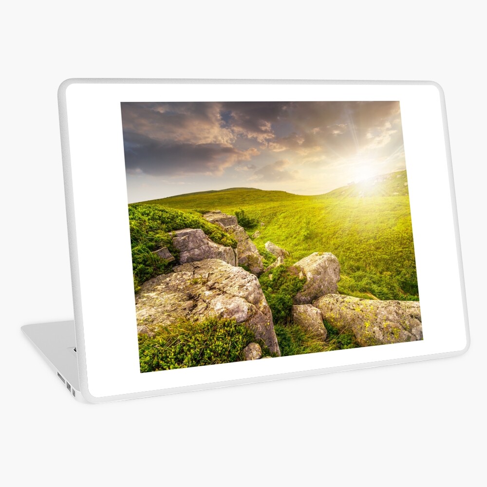 Item preview, Laptop Skin designed and sold by mike-pellinni.