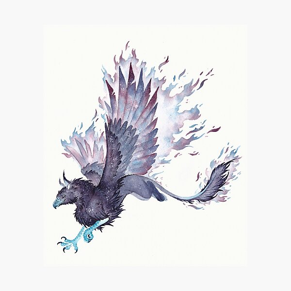 Space Gryphon Photographic Print