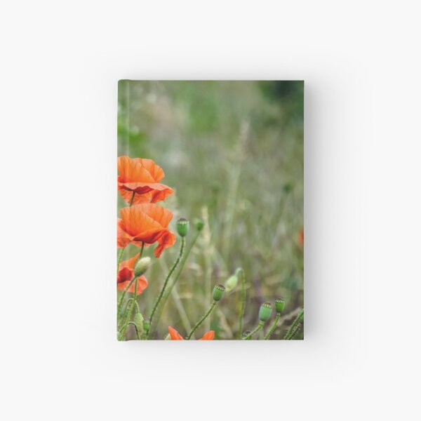 red poppy flowers among the grass Hardcover Journal
