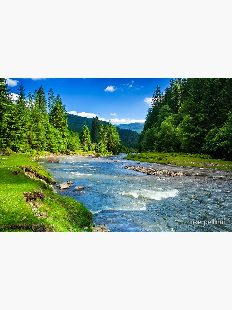 Mountain river in spruce forest by mike-pellinni